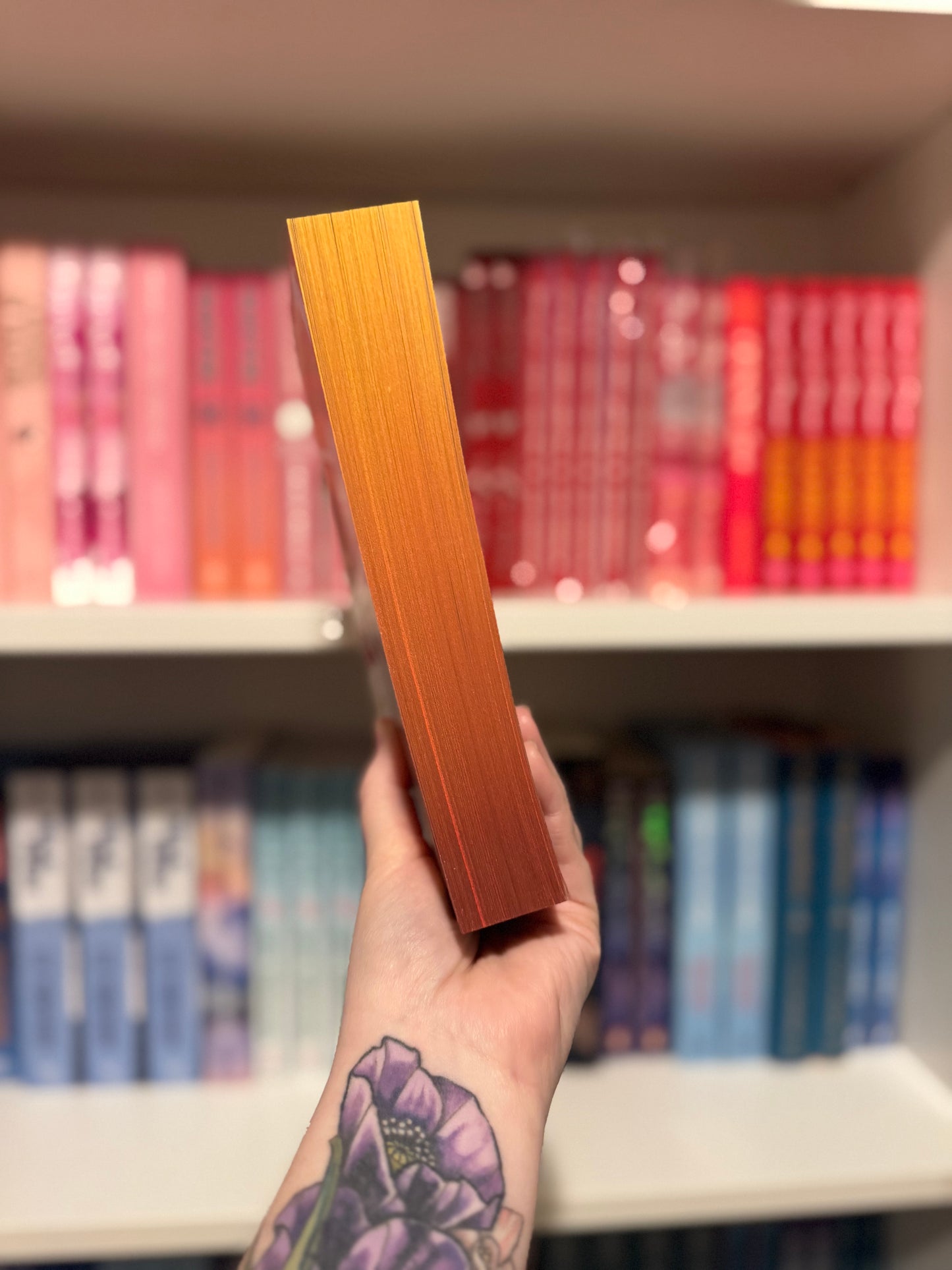 Caught Up | Liz Tomforde