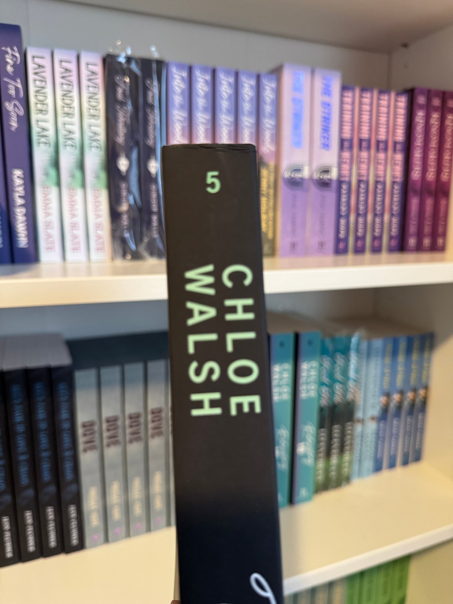 SECOND CHANCE TAMING 7 CHLOE WALSH