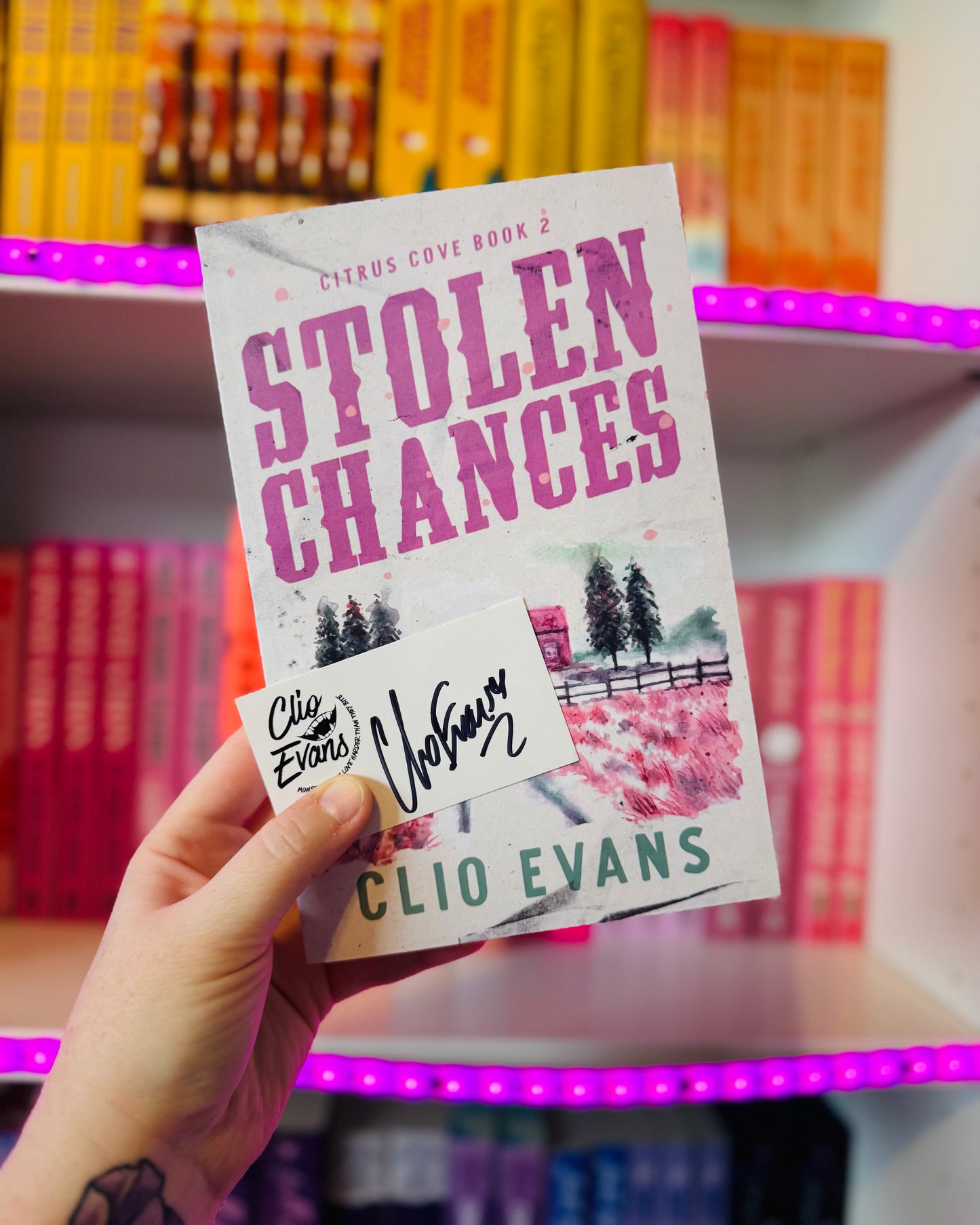 Stolen Chances | Clio Evans