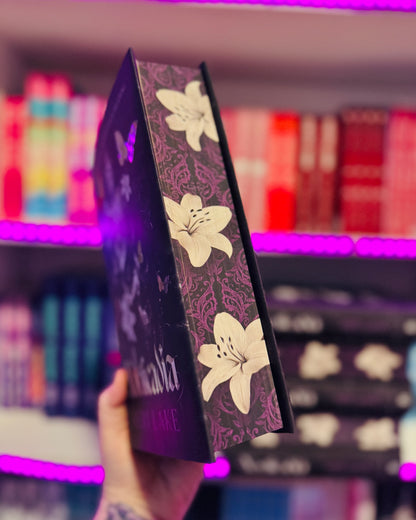 Nocticadia | Keri Lake