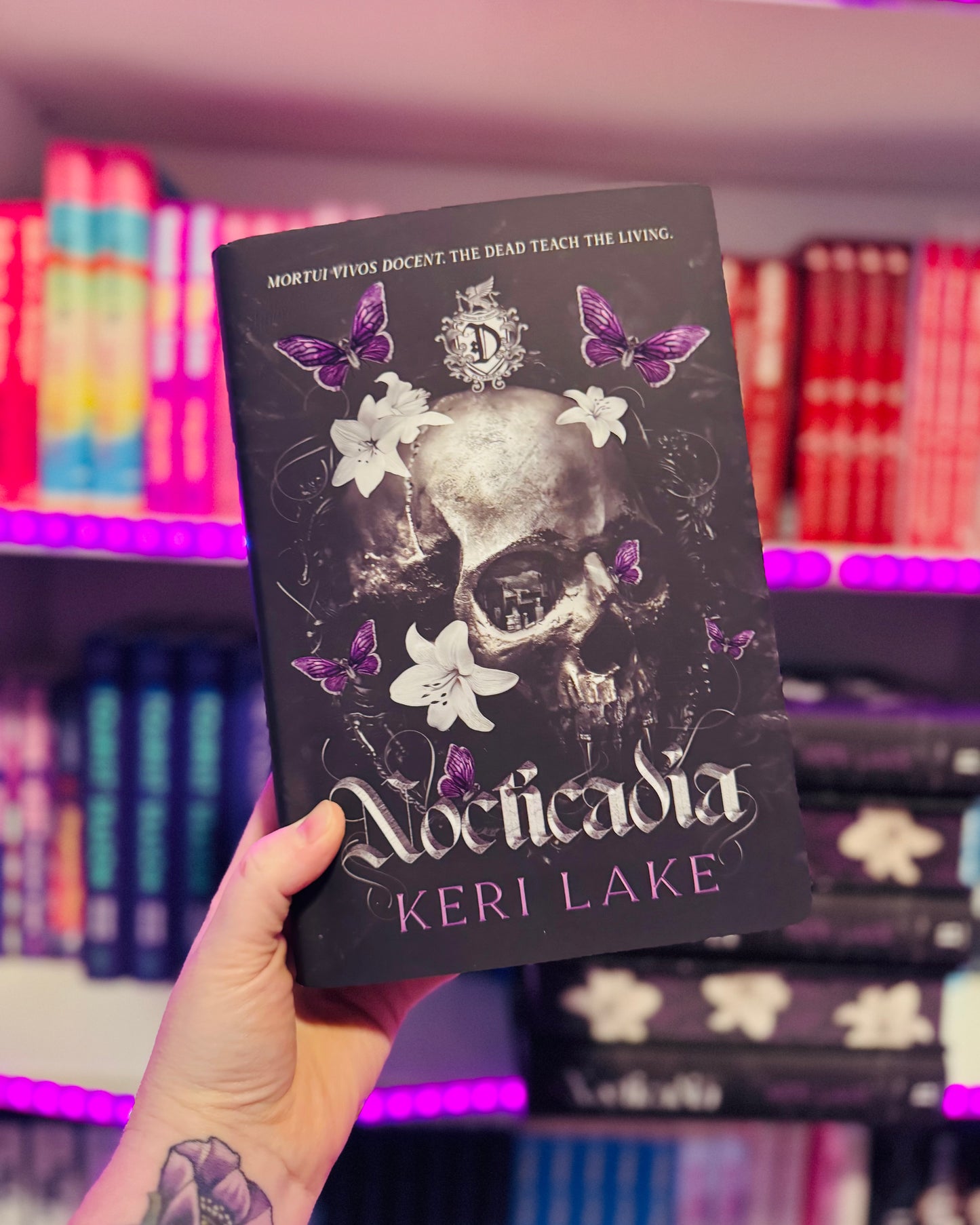 Nocticadia | Keri Lake