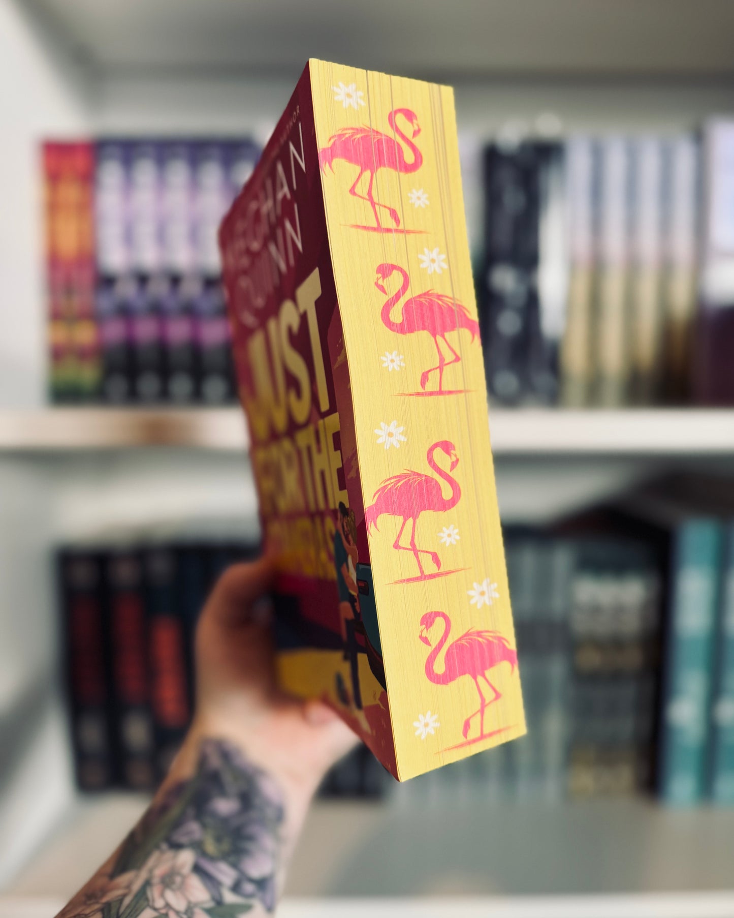 Just for the Cameras | Meghan Quinn