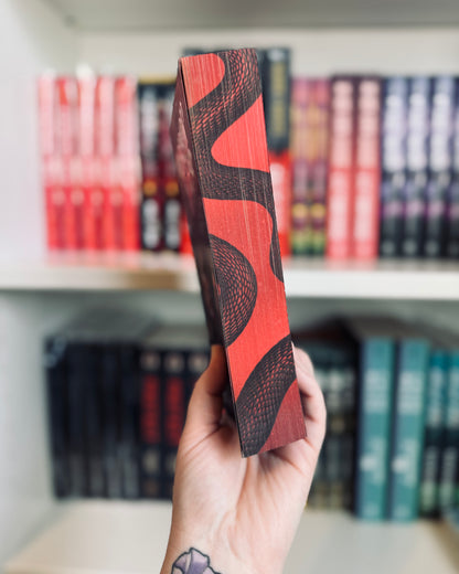 Terror At The Gates (PAPERBACK) | Scarlett St Clair