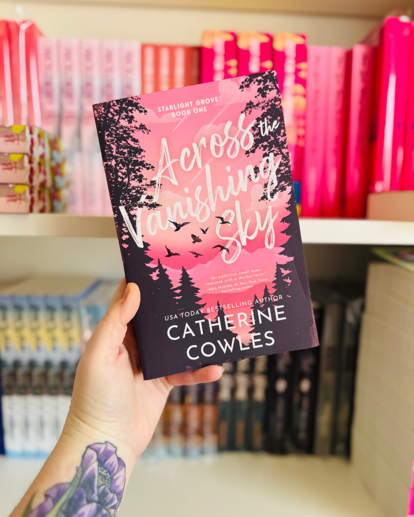 Across the Vanishing Sky | Catherine Cowles