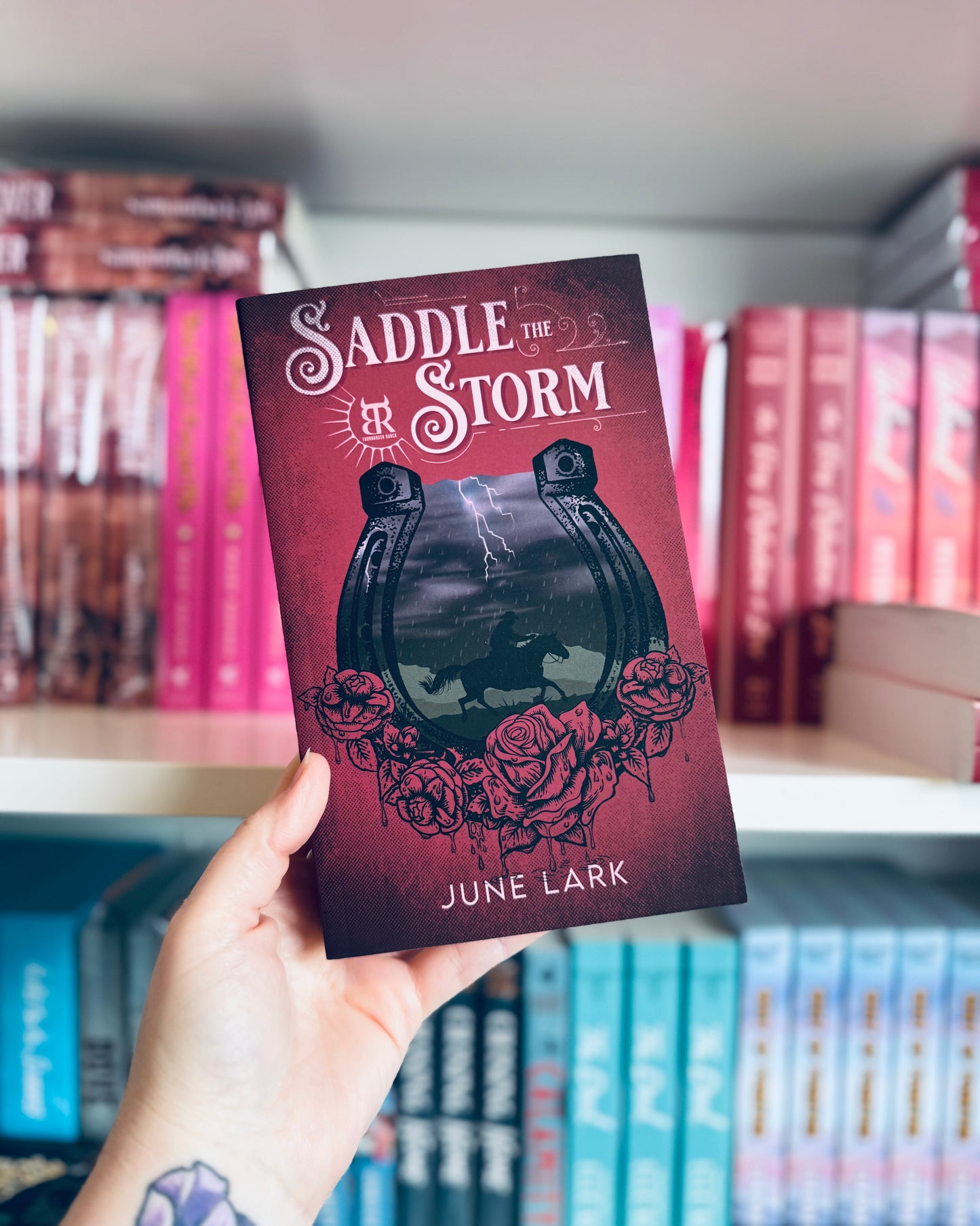 Saddle The Storm (SIGNED) | June Lark