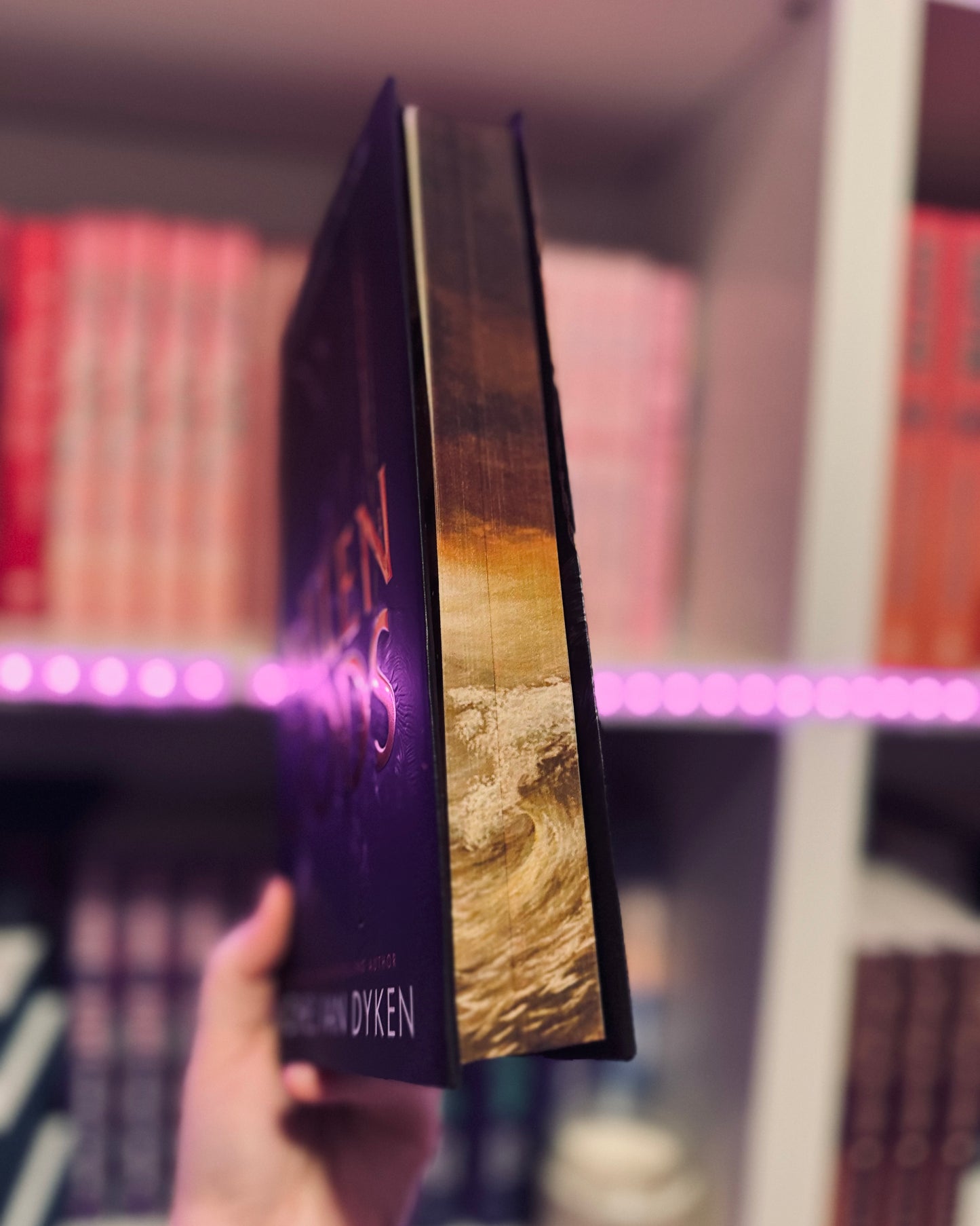 Fallen Gods | Rachel Van Dyken