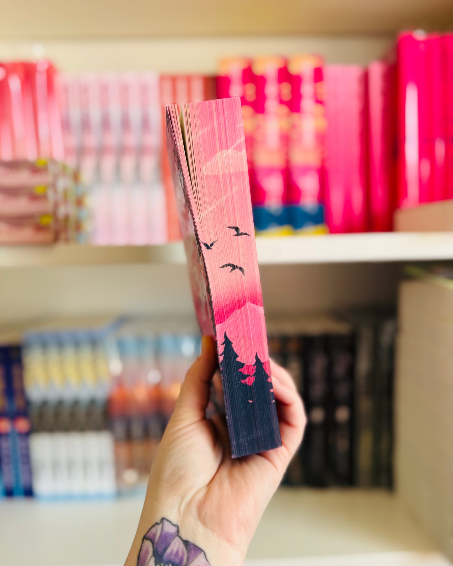 Across the Vanishing Sky | Catherine Cowles