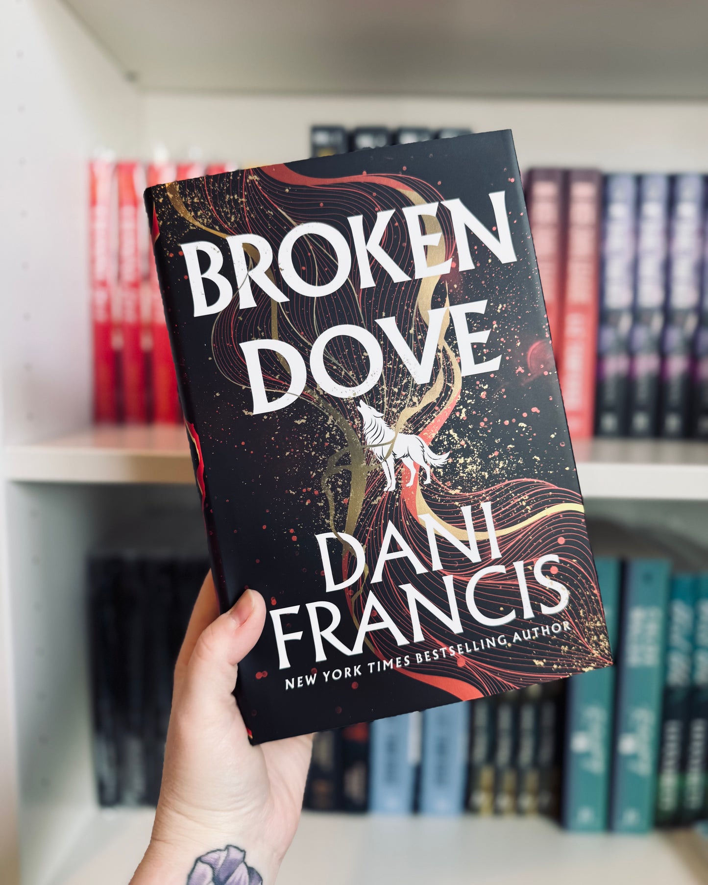 Broken Dove |  Dani Francis