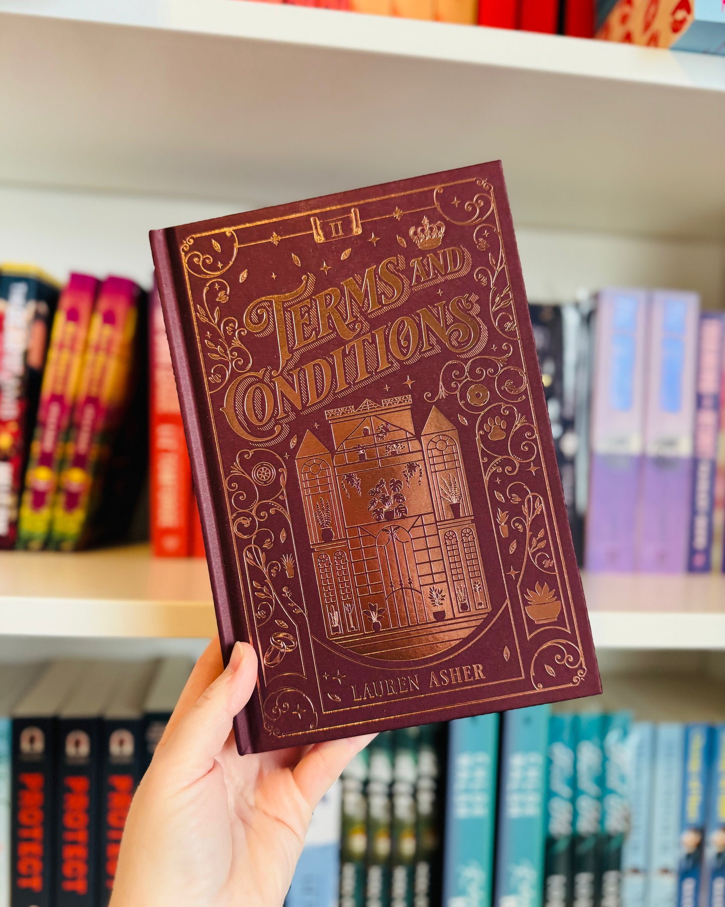 Terms & Conditions (COLLECTORS EDITION) | Lauren Asher