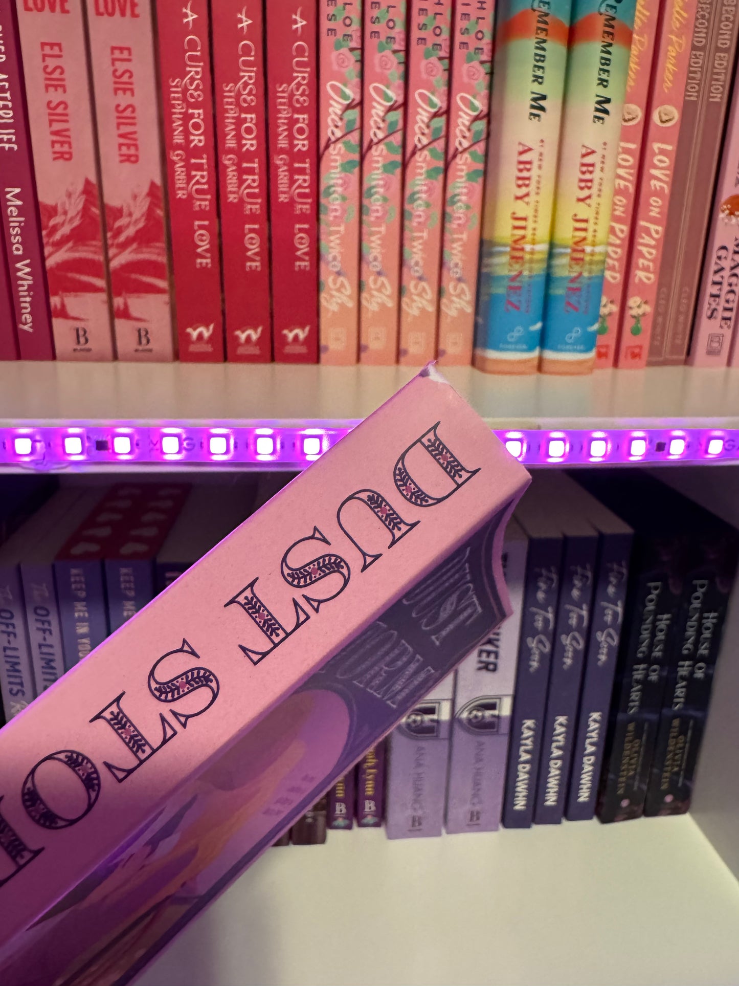 SECOND CHANCE - DUST STORM- MAGGIE GATES