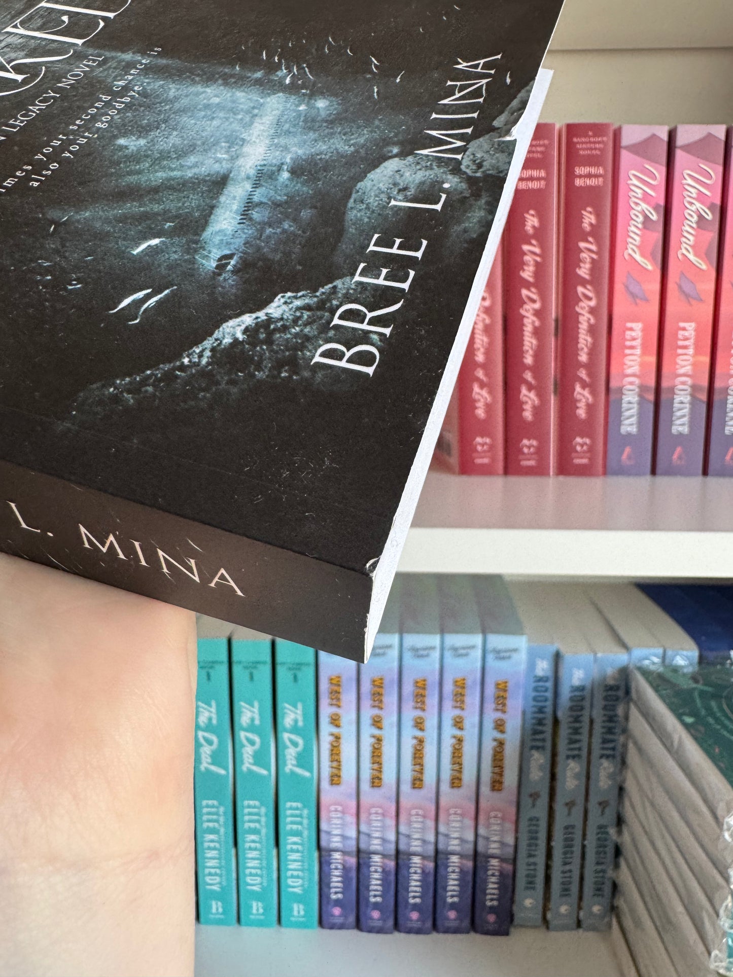 SECOND CHANCE | WRECKED | BREE L MINA