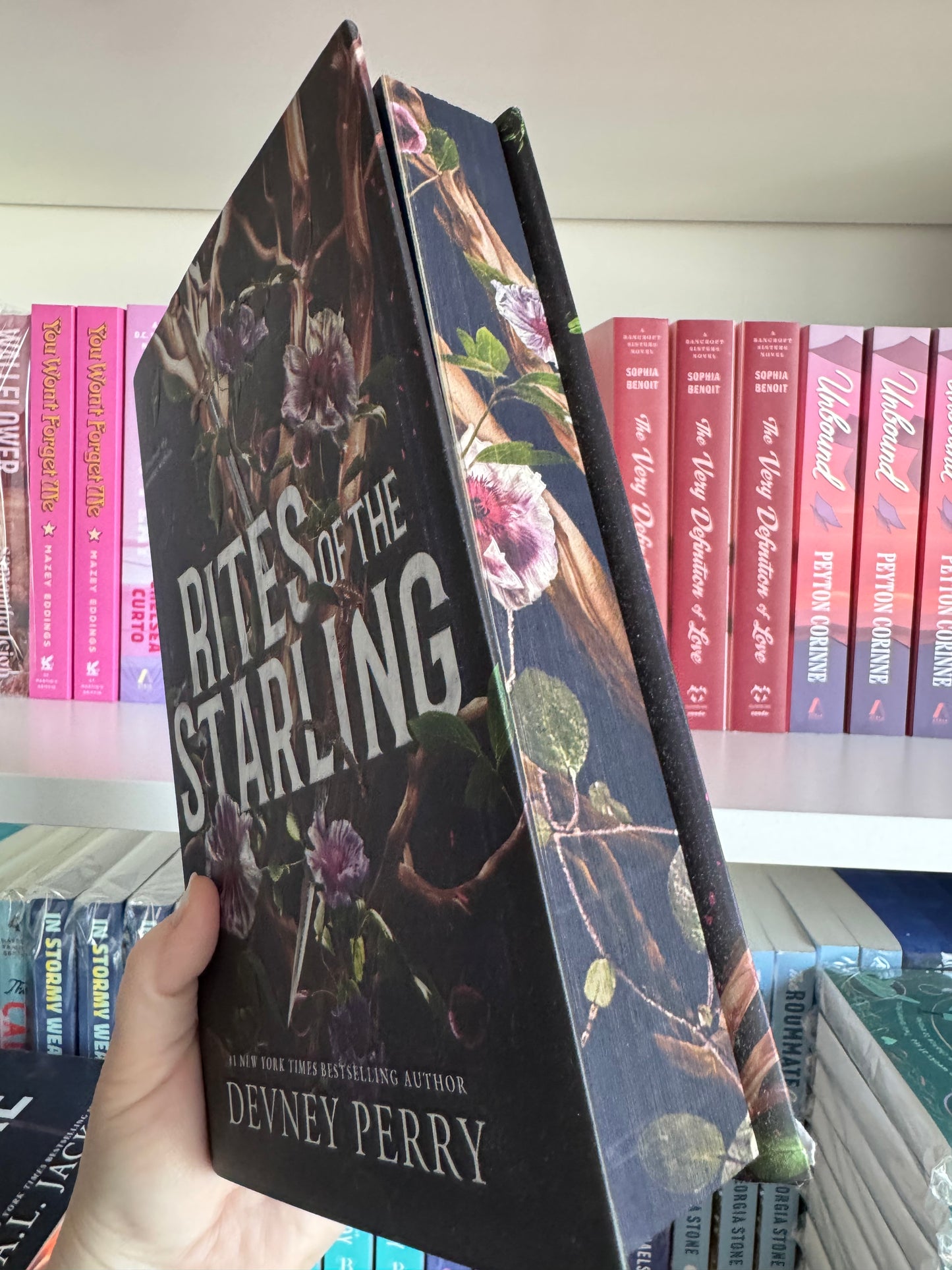 SECOND CHANCE | RITES OF THE STARLING | DEVNEY PERRY
